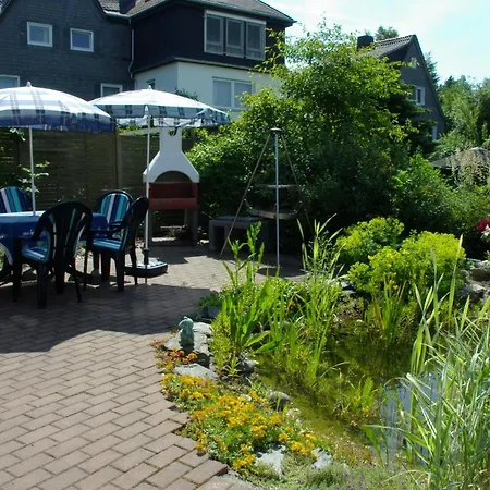 Haus Elsholz Usseln Birke * 빌링겐