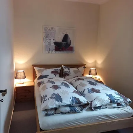 Haus Elsholz Usseln Birke 维林根