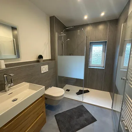 公寓 Haus Elsholz Usseln Birke 维林根