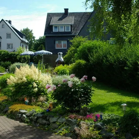Haus Elsholz Usseln Birke Виллинген