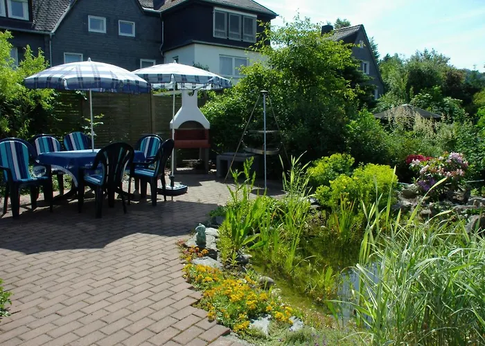 Haus Elsholz Usseln Birke * فيلنغن