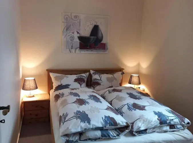 Haus Elsholz Usseln Birke فيلنغن