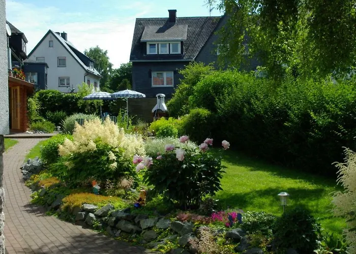 Haus Elsholz Usseln Birke فيلنغن